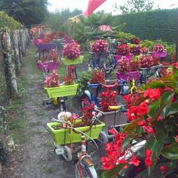 dans les landes on aime le vélo et les fleurs